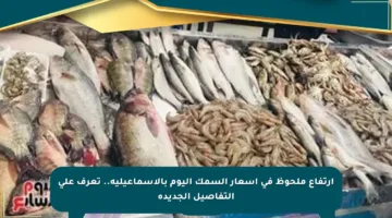 ارتفاع ملحوظ في أسعار السمك اليوم بالإسماعيلية.. تعرف على التفاصيل الجديدة